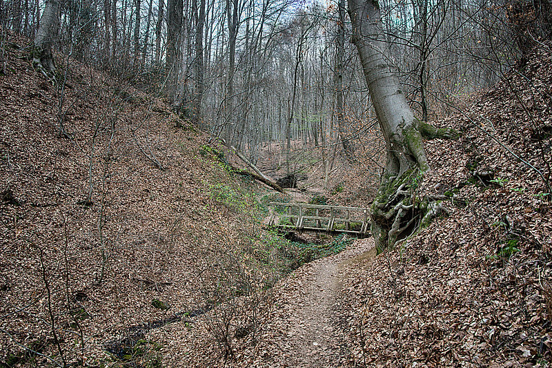 Bernhard Saalfeld - Tretschbachtal (9v9)